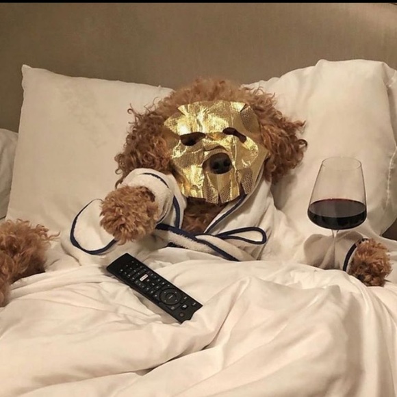 thequeenmejia
